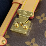 Louis Vuitton Side Trunk PM M46358 Brown